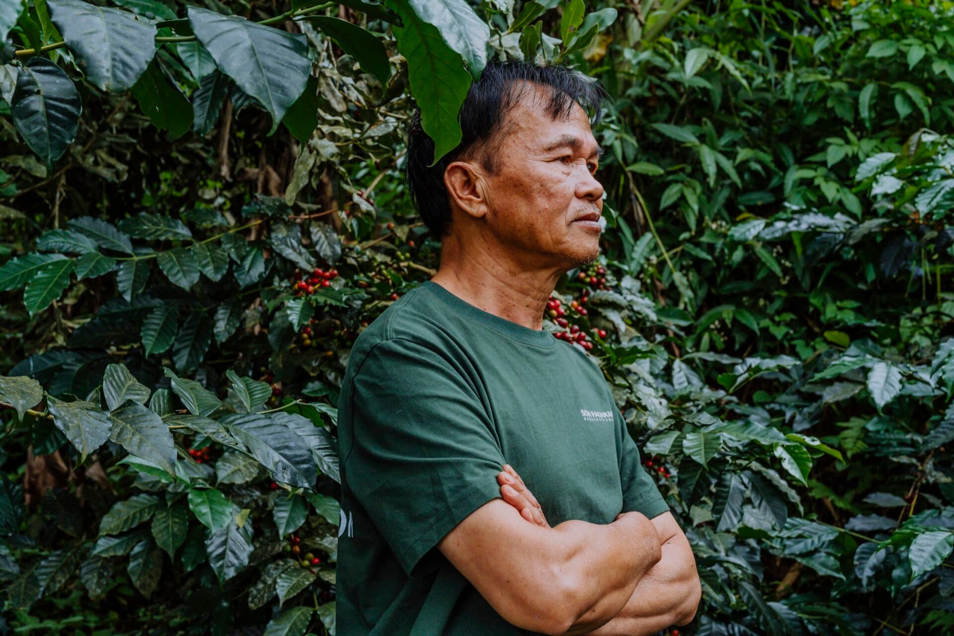 son pacamara dalat vietnam specialty coffee farm and roastery