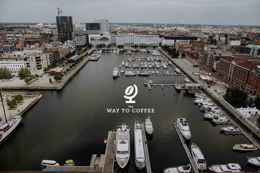 specialty coffee antwerp