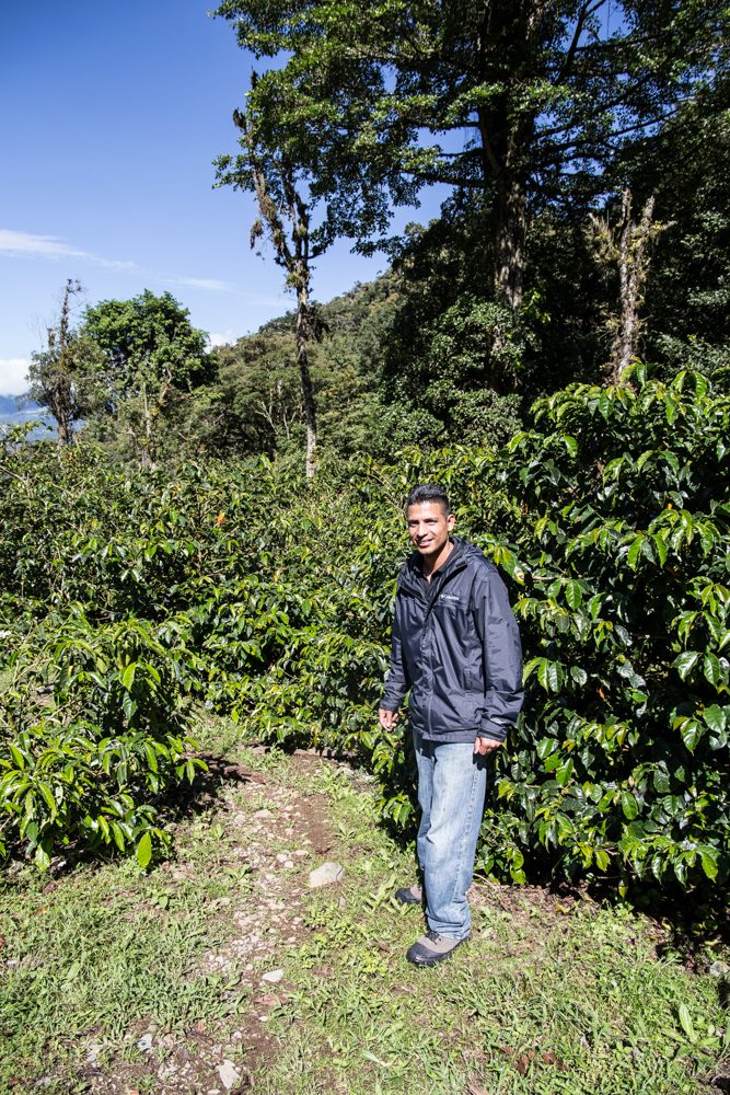 Boquete Coffee Tour