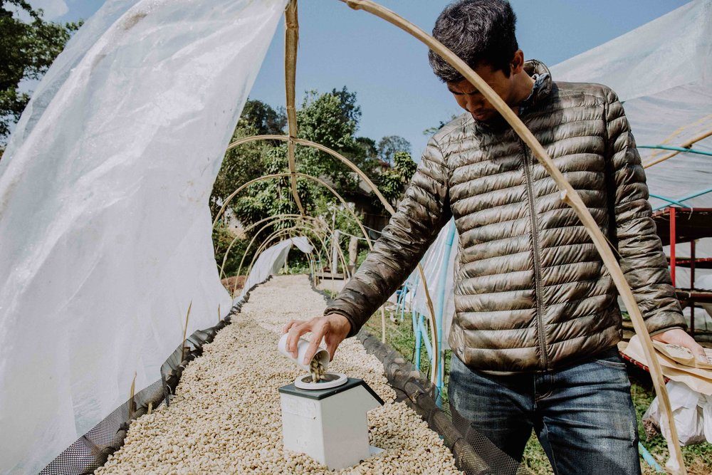 Fuadi is measuring the humidity contained in the beans