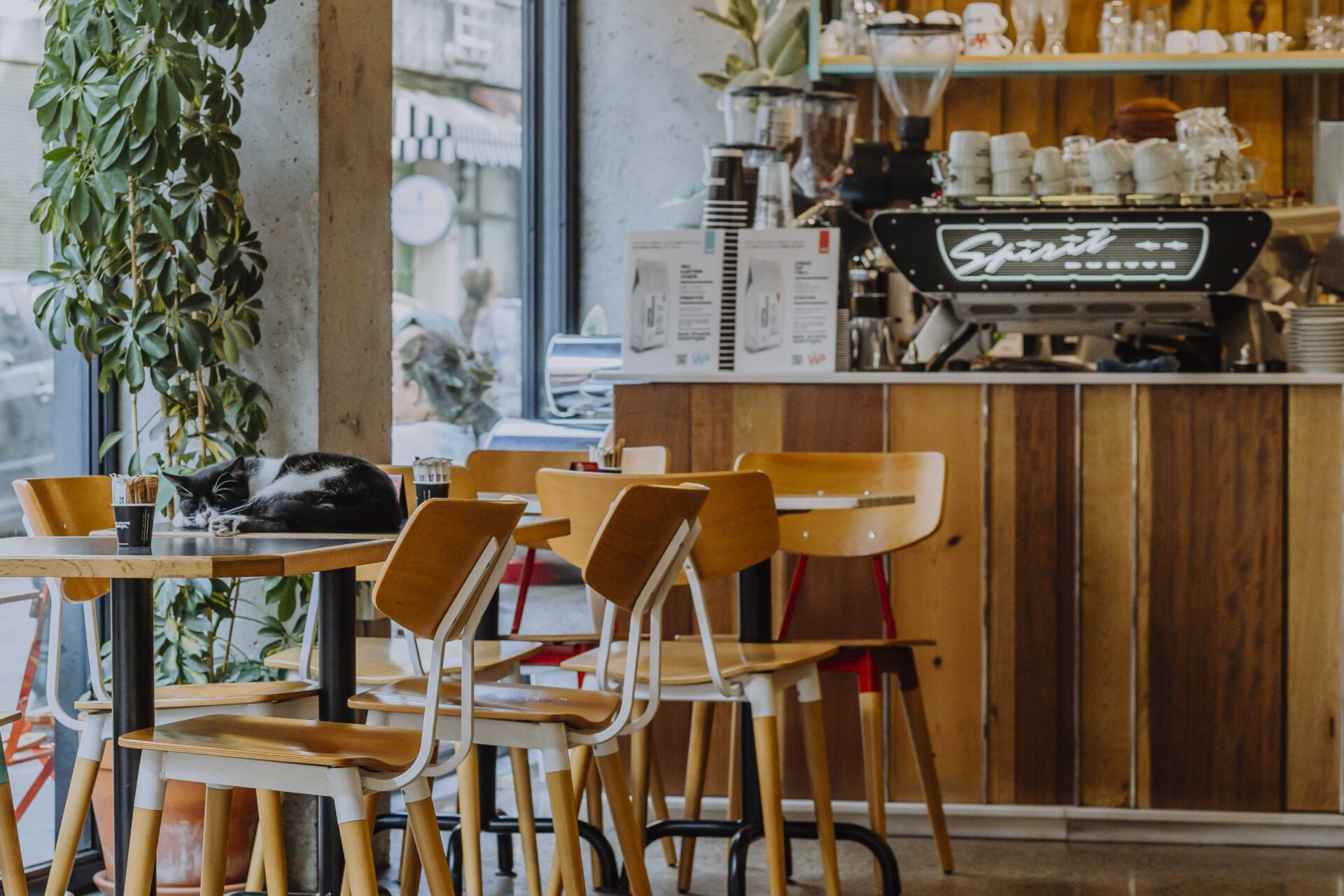 istanbul specialty coffee