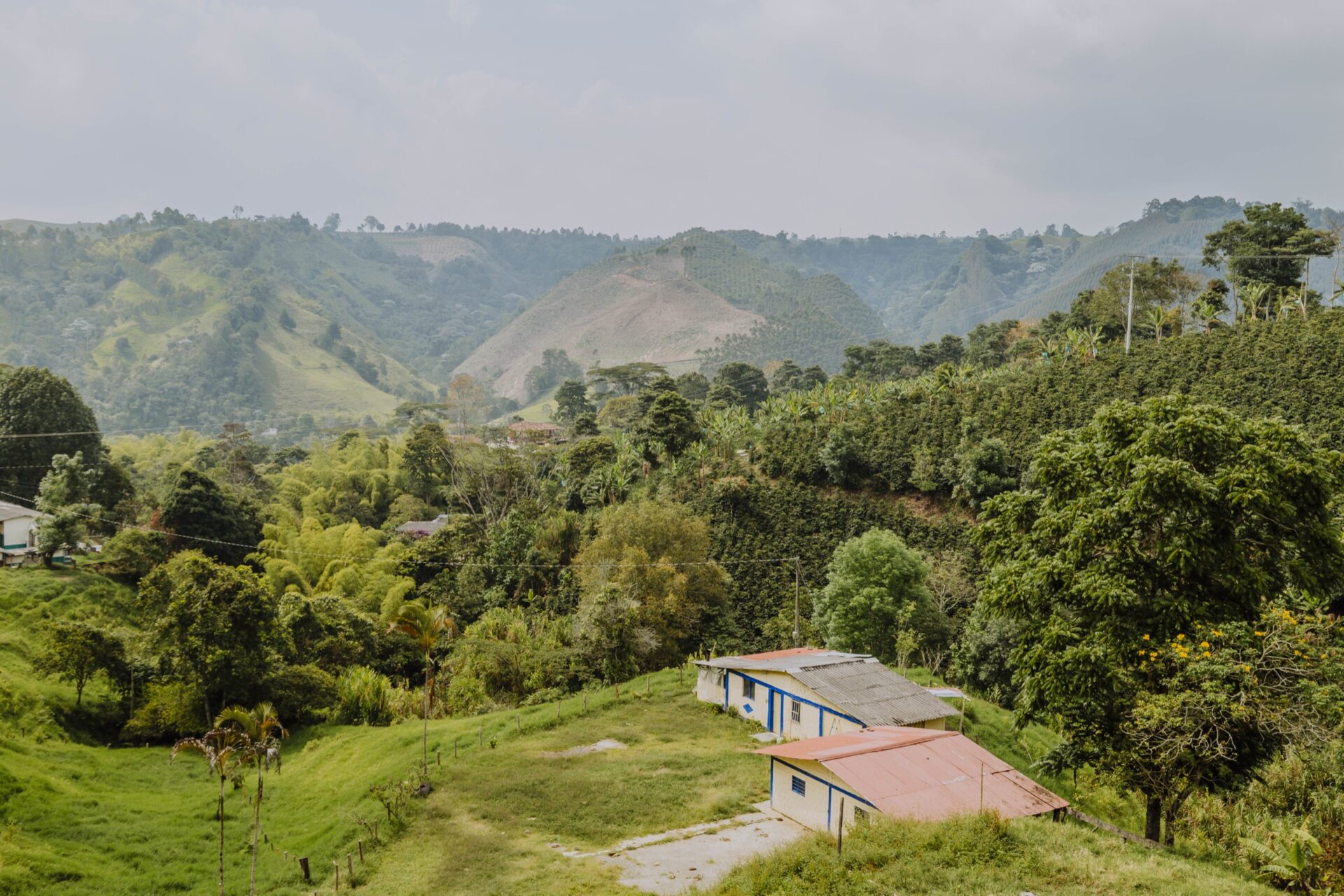 colombia origin country