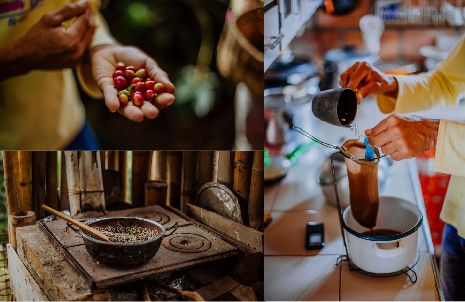 colombia origin country