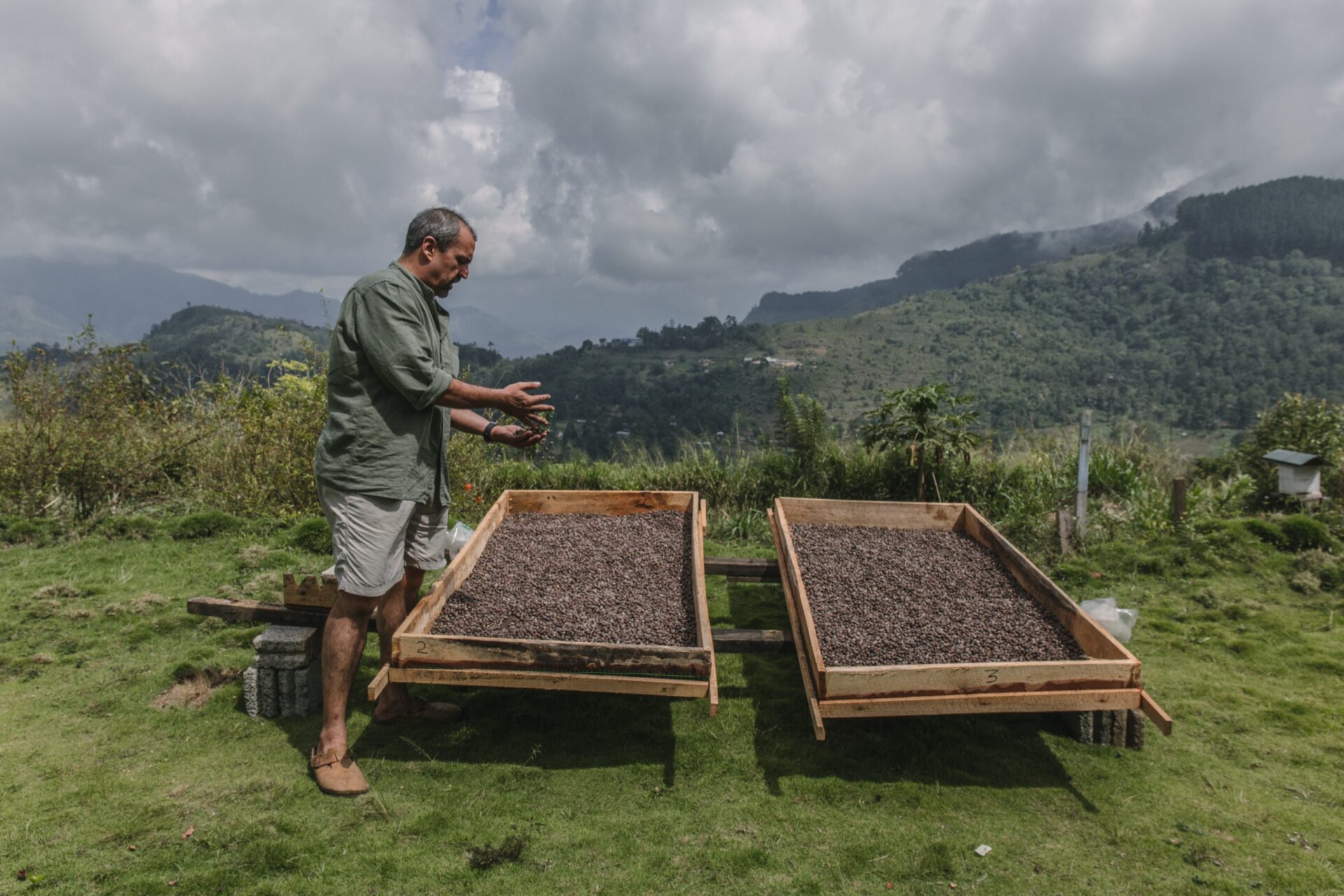 Kenneth McAlpine at Avaagama Organic Farm