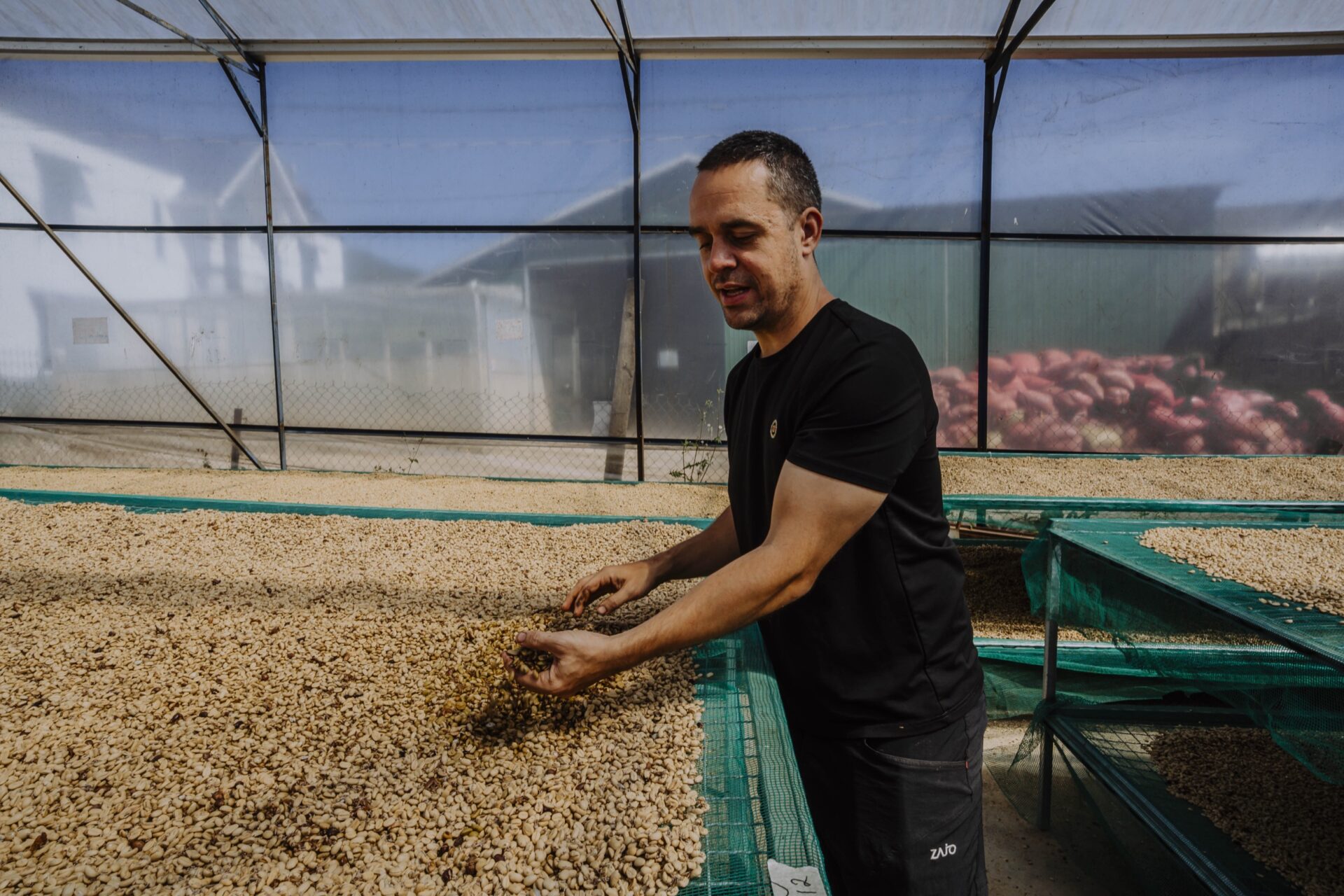 processing coffee zanya vietnam